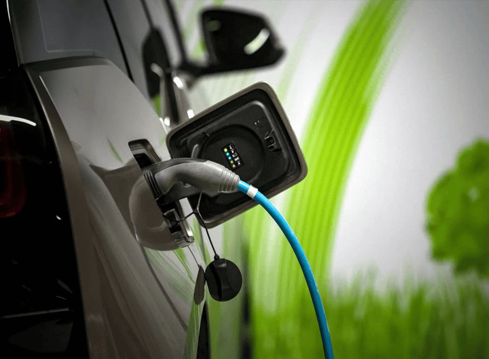 September 2022 Page 5 TheAlphaCut